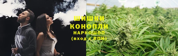 прущие грибы Семёнов