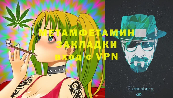 прущие грибы Верхний Тагил