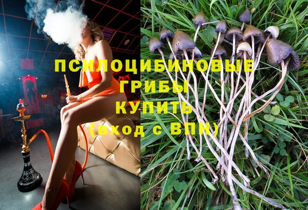 ALPHA PVP Баксан