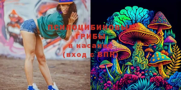 прущая мука Балахна