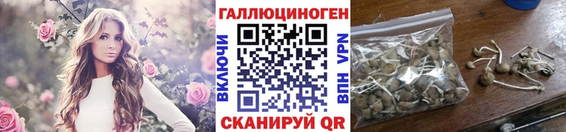 наркошоп  Радужный  Псилоцибиновые грибы мицелий 
